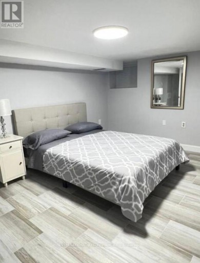 LOWER - 132 GRACE STREET, Toronto (Trinity-Bellwoods), Ontario, M6J2S2