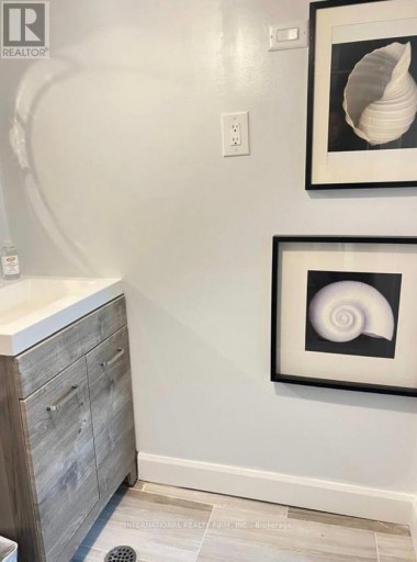 LOWER - 132 GRACE STREET, Toronto (Trinity-Bellwoods), Ontario, M6J2S2