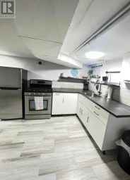 LOWER - 132 GRACE STREET Toronto (Trinity-Bellwoods) Ontario photo 2