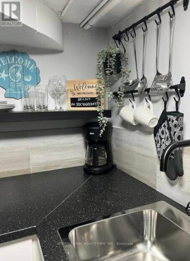 LOWER - 132 GRACE STREET, Toronto (Trinity-Bellwoods), Ontario, M6J2S2