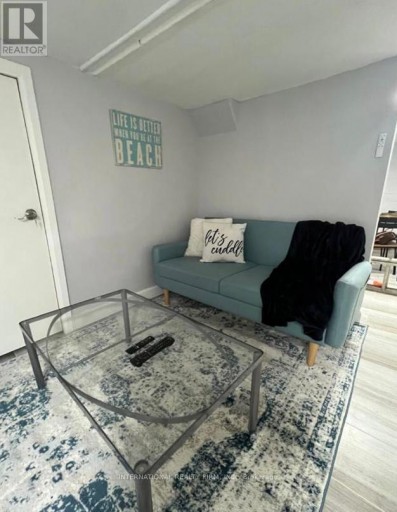 LOWER - 132 GRACE STREET, Toronto (Trinity-Bellwoods), Ontario, M6J2S2
