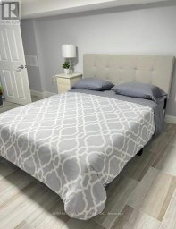 LOWER - 132 GRACE STREET Toronto (Trinity-Bellwoods) Ontario photo 9