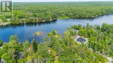 1139 CANUCK TRAIL Minden Hills (Lutterworth) Ontario photo 40