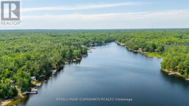 1139 CANUCK TRAIL Minden Hills (Lutterworth) Ontario photo 46