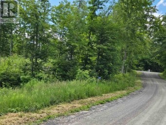 507 BLACK RIVER ROAD Tweed (Elzevir (Twp)) Ontario photo 1