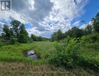 507 BLACK RIVER ROAD Tweed (Elzevir (Twp)) Ontario photo 4
