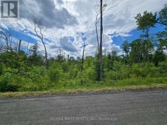 507 BLACK RIVER ROAD Tweed (Elzevir (Twp)) Ontario photo 5