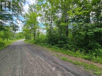 507 BLACK RIVER ROAD Tweed (Elzevir (Twp)) Ontario photo 7