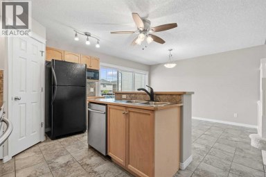 28 Saddlebrook Gardens NE Calgary Alberta photo 11