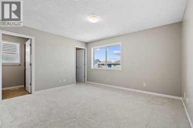 28 Saddlebrook Gardens NE Calgary Alberta photo 17