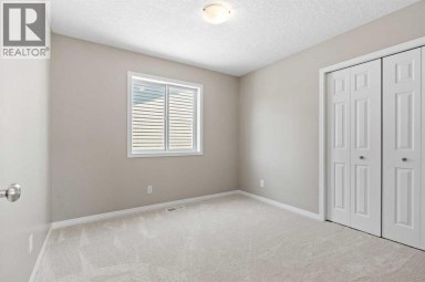 28 Saddlebrook Gardens NE Calgary Alberta photo 22