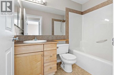 28 Saddlebrook Gardens NE Calgary Alberta photo 26