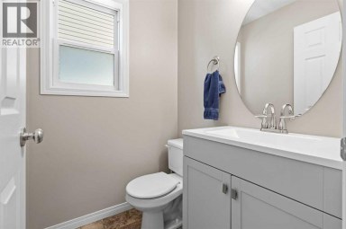 28 Saddlebrook Gardens NE Calgary Alberta photo 6