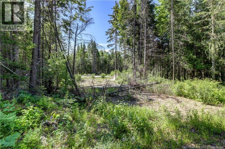 29 Gwens Lane, Mill Cove, New Brunswick, E4K3N2