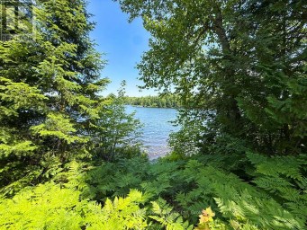 473 NORTH MEADOWCOVE ROAD Whitestone (Dunchurch) Ontario photo 16