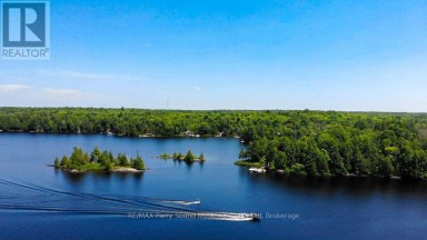 473 NORTH MEADOWCOVE ROAD Whitestone (Dunchurch) Ontario photo 18