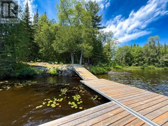 473 NORTH MEADOWCOVE ROAD Whitestone (Dunchurch) Ontario photo 2