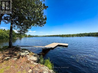 473 NORTH MEADOWCOVE ROAD Whitestone (Dunchurch) Ontario photo 3