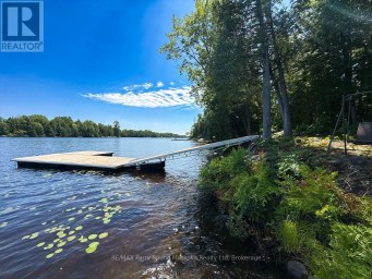 473 NORTH MEADOWCOVE ROAD Whitestone (Dunchurch) Ontario photo 4