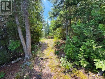 473 NORTH MEADOWCOVE ROAD Whitestone (Dunchurch) Ontario photo 6