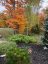 2981 Valleyview Road, Blezard Valley, Ontario, P3N1R2 (ID 2128856)