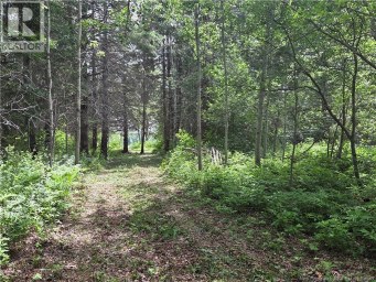 5158 Rte 108 Millerton New Brunswick photo 15