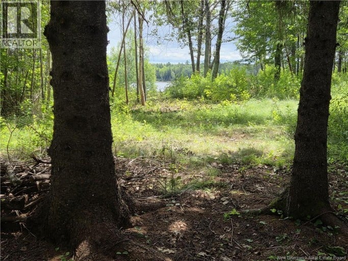 5158 Rte 108, Millerton, New Brunswick, E1V5B7
