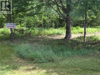 5158 Rte 108 Millerton New Brunswick photo 23