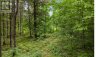 LOT 16 ECHO LAKE ROAD, Frontenac (frontenac Centre), Ontario, K0H2K0 (ID X13555910)