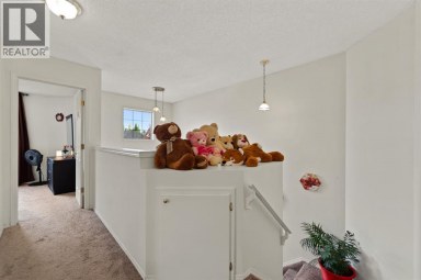 221 Tarington Close NE Calgary Alberta photo 20