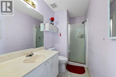 221 Tarington Close NE Calgary Alberta photo 27