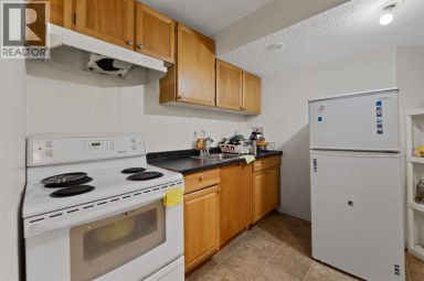 221 Tarington Close NE Calgary Alberta photo 30