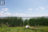 2029 PIGEON LAKE ROAD, Kawartha Lakes (emily), Ontario, K9V4R5 (ID X13557344)