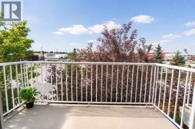 303, 5555 Falsbridge Drive NE Calgary Alberta photo 17
