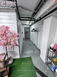 LOWER LEVEL - 198 AUGUSTA AVENUE Toronto (Kensington-Chinatown) Ontario photo 4