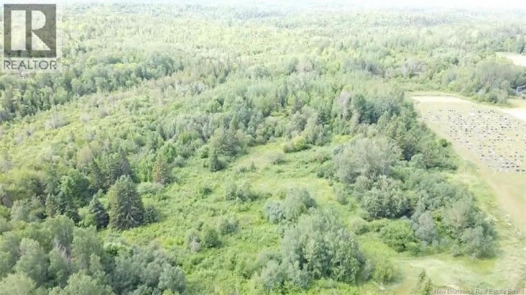 38.8 Acres Lorne, Lorne, New Brunswick, E8G1K9