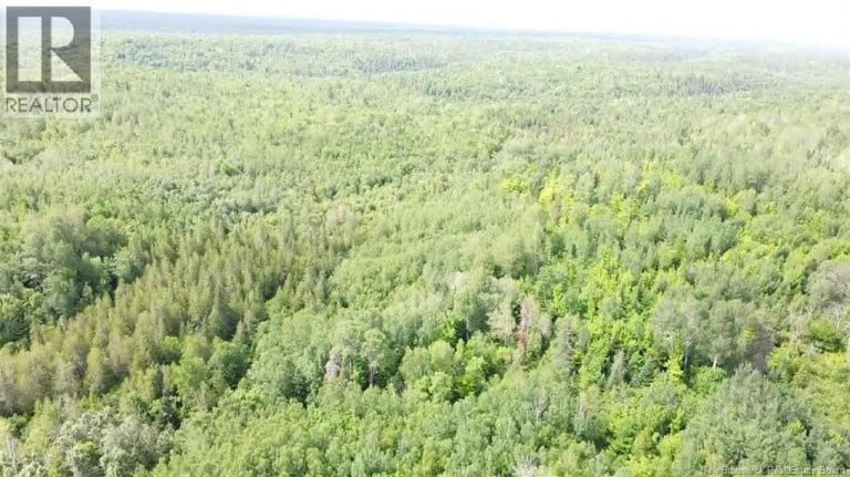 38.8 Acres Lorne, Lorne, New Brunswick, E8G1K9
