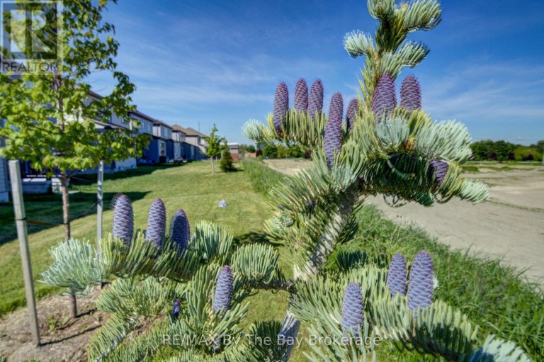 15 UNION BOULEVARD, Wasaga Beach, Ontario, L9Z0M6