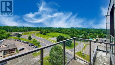 809 - 7 ERIE AVENUE Brantford Ontario photo 23