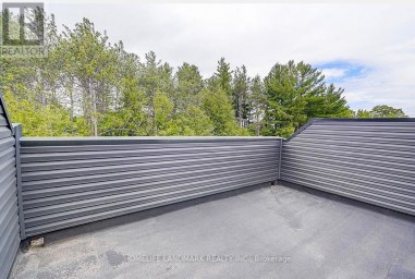 29 CHESTNUT COURT Aurora Ontario photo 42