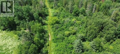 114.9 Acres Little River Drive Bathurst New Brunswick photo 3