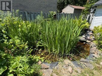 29 BROOK ROAD S Cobourg Ontario photo 27