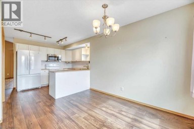 27 Aspen Creek Way Strathmore Alberta photo 19