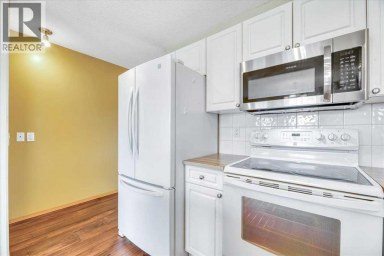 27 Aspen Creek Way Strathmore Alberta photo 22
