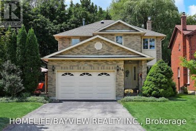 LOWER - 36 ELEANOR CIRCLE Richmond Hill (South Richvale) Ontario photo 3