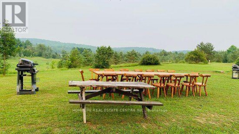 317051 HIGHWAY 6 & 10, Chatsworth, Ontario, N0H1G0