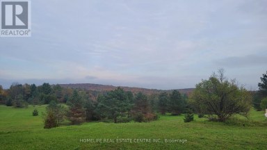 317051 HIGHWAY 6 & 10 Chatsworth Ontario photo 6