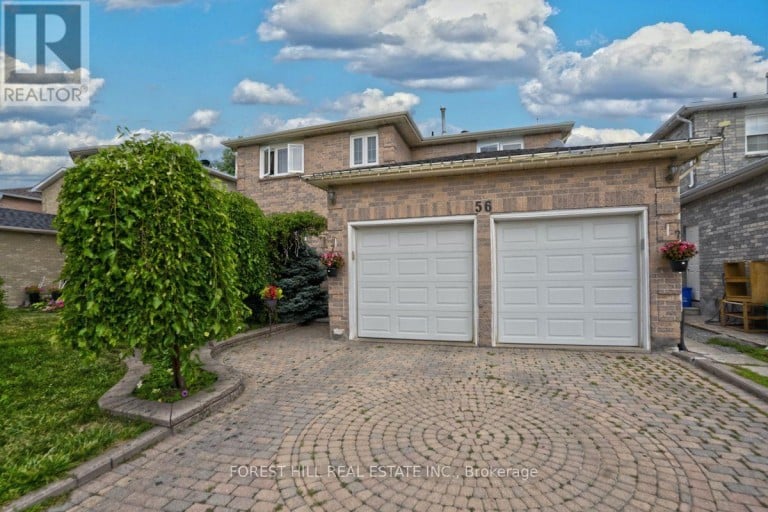 BSMT - 56 COOPERAGE CRESCENT, Richmond Hill (Westbrook), Ontario, L4C9L5
