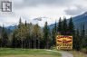 7050 Trans Canada Highway, Revelstoke, British Columbia, V0E2S0 (ID 10394859)