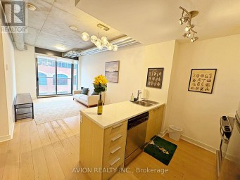 311 - 138 PRINCESS STREET Toronto (Moss Park) Ontario photo 4